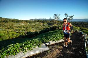 BIB: 
                            <button type="button" onclick="openModal(19110159)" class="btn btn-primary btn-sm float-right btn-popup" data-toggle="modal" data-target=".modal-high-quality">
                        <i class="fas fa-shopping-cart"></i> Add to Cart
                    </button>
                                            <button type="button" onclick="isThisMe(19110159, true)" class="btn btn-success btn-sm float-right btn-popup btn-isme hidden" data-toggle="tooltip" data-placement="bottom" title="นี่คือรูปของคุณใช่ไหม คลิกที่นี่เพื่อเอาเข้าอัลบั้ม">
                        <i class="fas fa-plus"></i> Add to album
                    </button>
                    <button type="button" onclick="isThisMe(19110159, false)" class="btn btn-warning btn-sm float-right btn-popup btn-isnotme hidden">
                        <i class="fas fa-ban"></i> Remove from album
                    </button>